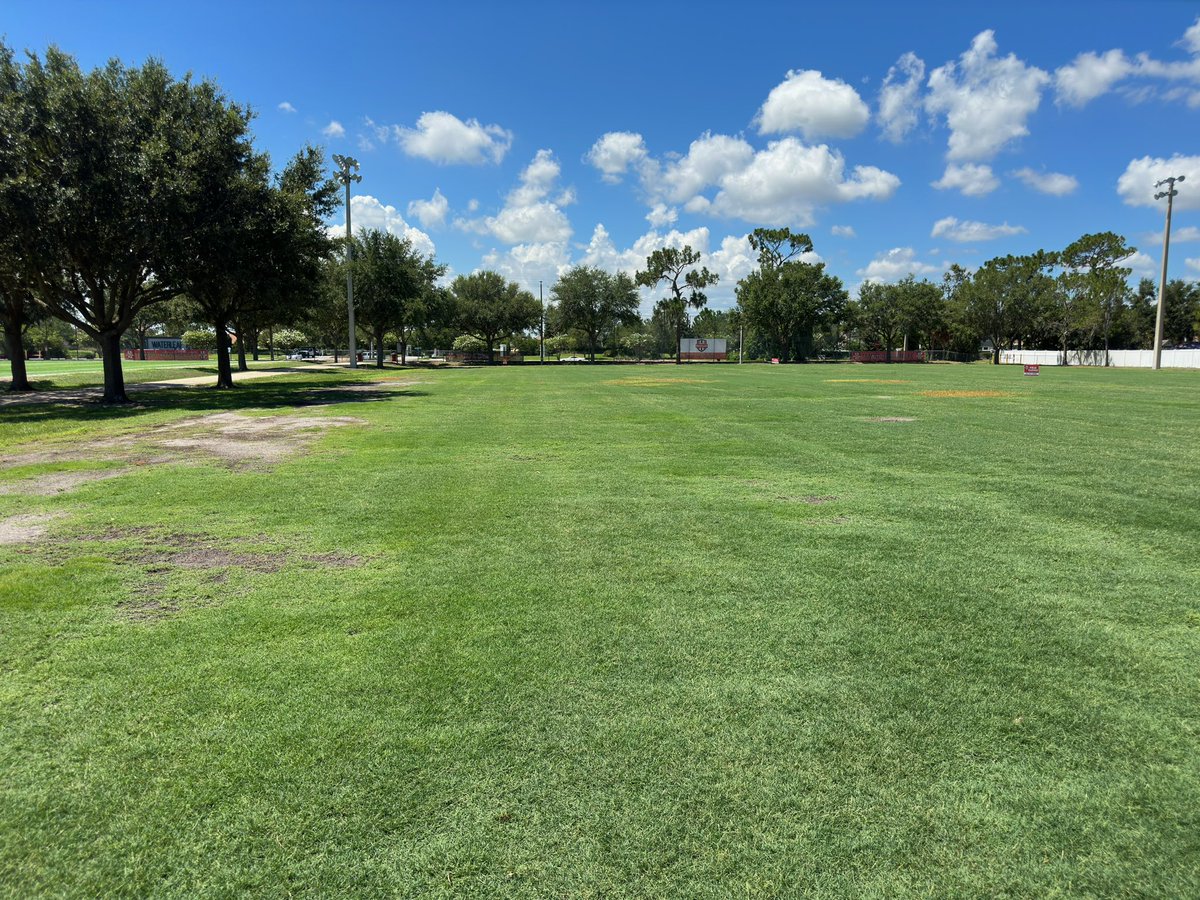 Mark Singleton tweet media