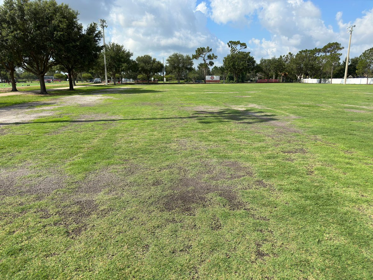 Mark Singleton tweet media