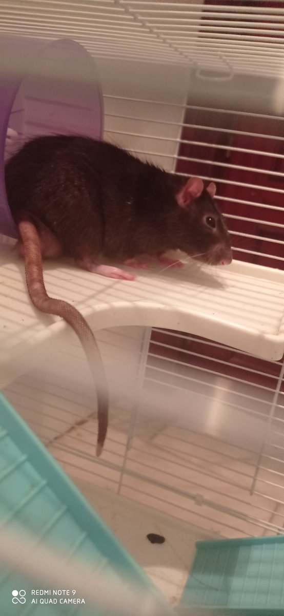 (Ha)Toku ✨🌵 tweet media