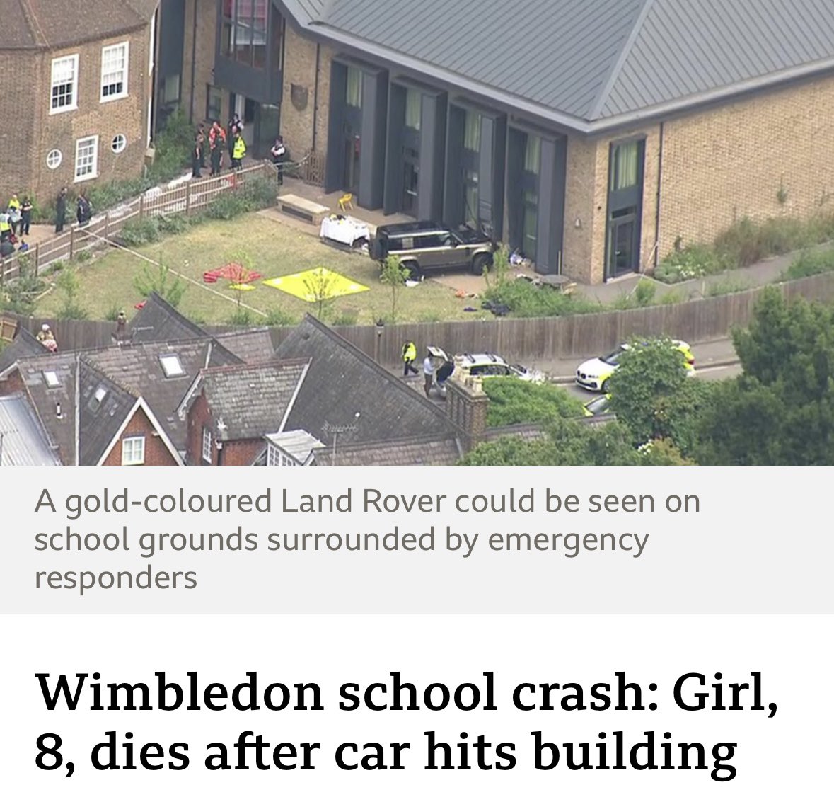 stir fry disco dad 🇵🇸 tweet media