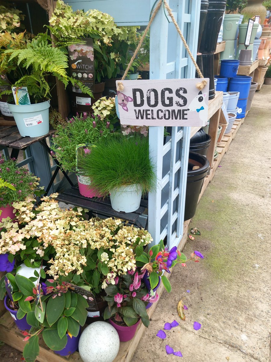 Possibly my favourite sign 🐶😃 and dogs are welcome <a href="/springmountgc/">Springmount Garden C</a> .