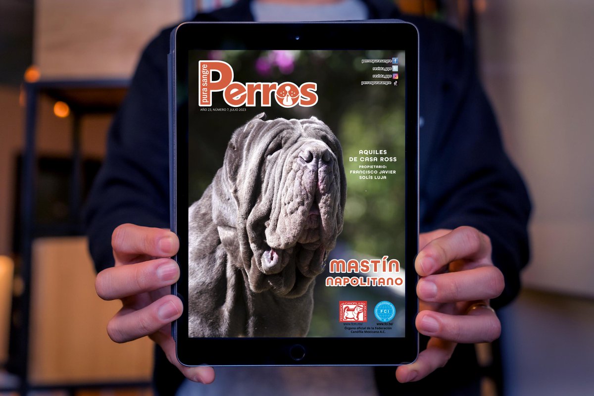 revista_pps's tweet photo. ¿Sabes en dónde puedes leer la edición de Mastín Napolitano?
En nuestro sitio web: https://t.co/FvEW383hm7
En calameo: https://t.co/Gtr4bqPIqi
O puedes adquirirla para descarga PDF en nuestra tienda: https://t.co/eSEE94ymrn
#SomosPerrosPuraSangre #MastínNapolitano https://t.co/eBfFGyNPcw