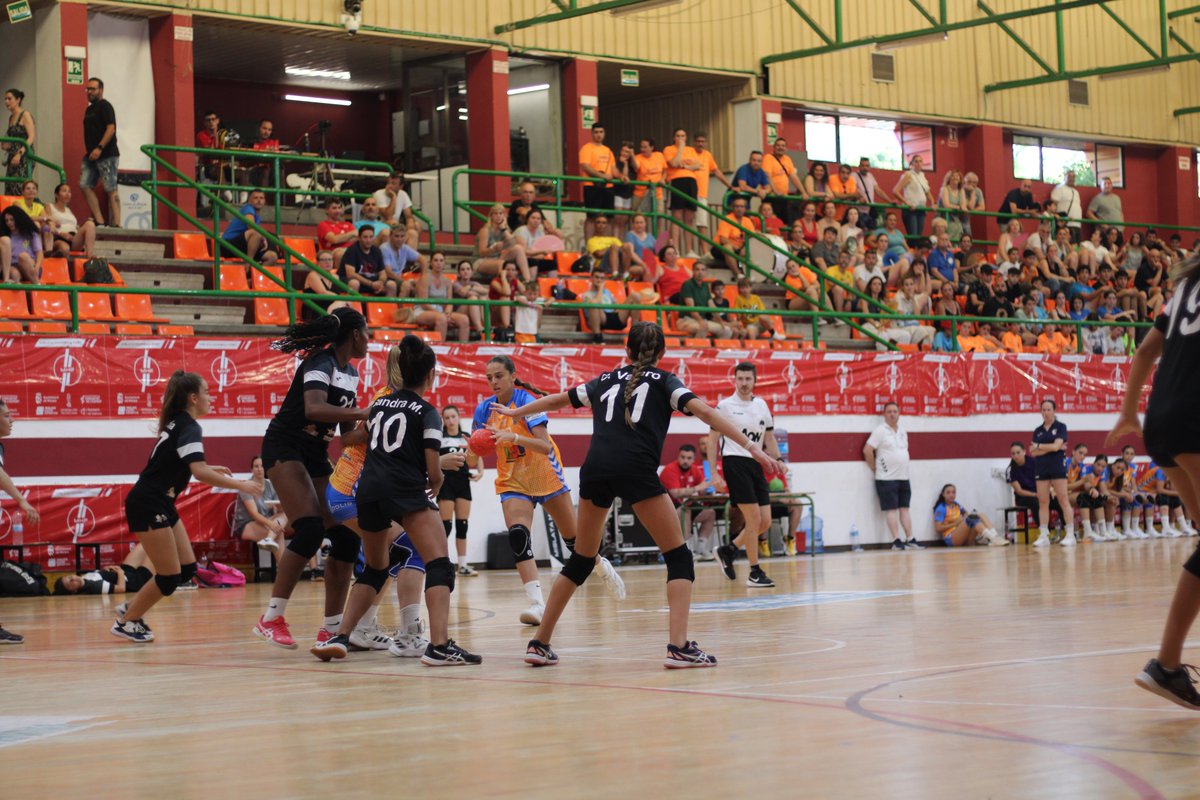 MHandballFest tweet picture