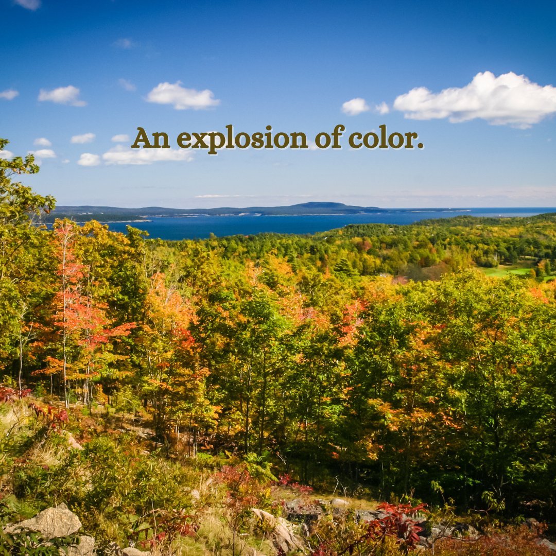 mynavitour's tweet photo. Fall will be here before you know it. Book your fall excursions from hunting, hiking, kayaking, and more to enjoy every turn of Maine's foliage season. 🍂

Create your next memory 👉 https://t.co/s1oauCEOGW https://t.co/bgWIhKjsaI