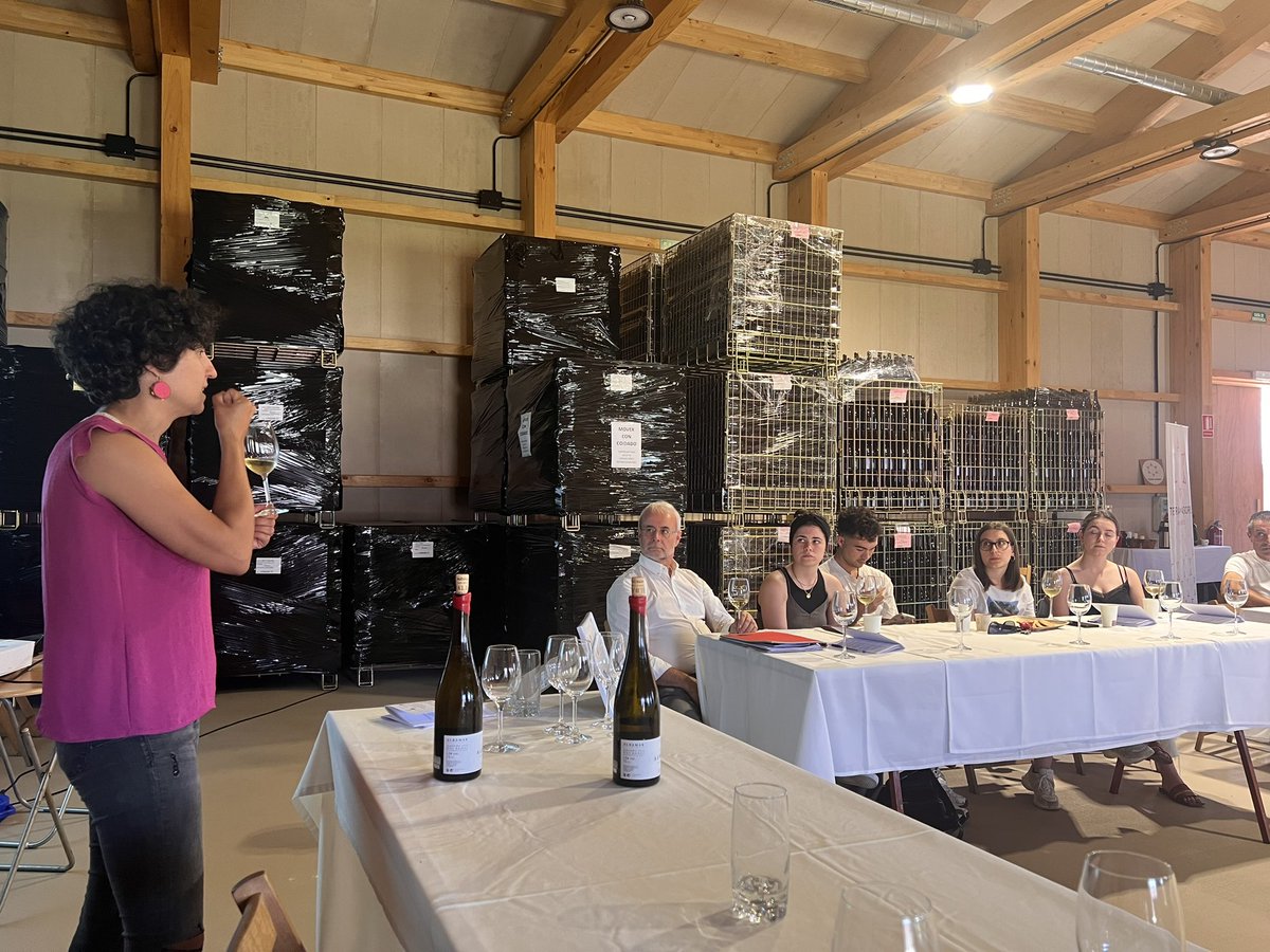 mariacadaval's tweet photo. Adriana Vilanova Picón guía a cata de albariños de elaboracións especiais de distintas adegas do Val do Salnés da D.O Rías Baixas no Curso de verán da @UniversidadeUSC o Mundo dos Viños Galegos Adegas Terra de Asorei https://t.co/SgrZa8TXqB