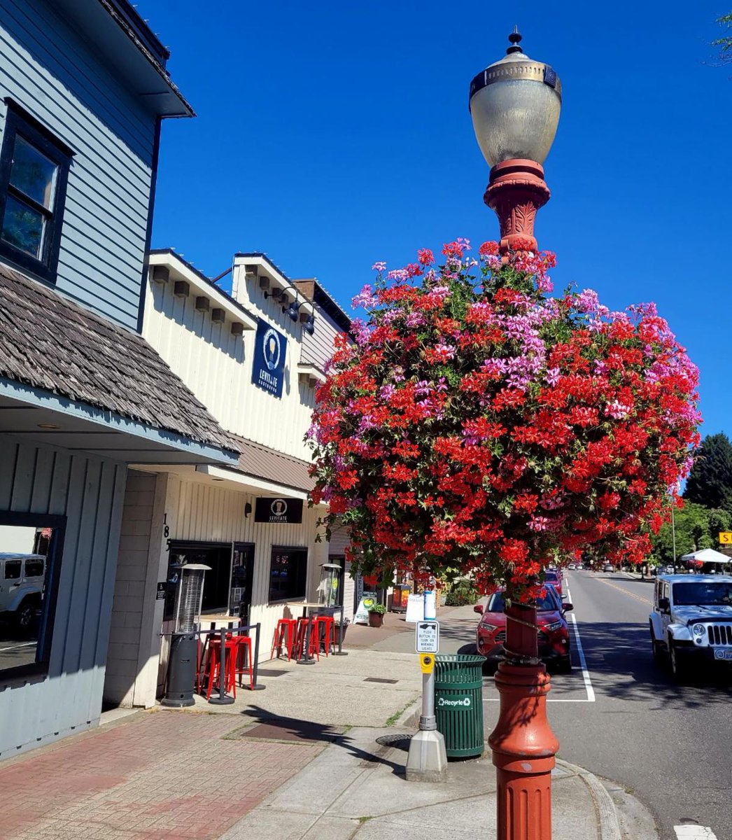 Downtown Issaquah Association tweet media
