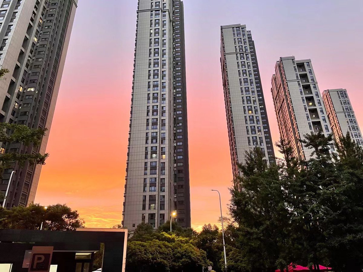 编号9527* tweet media