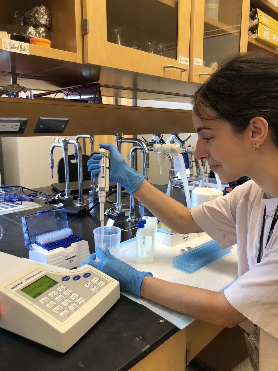 VanessaAffe's tweet photo. Today Eppendorf helped us measure RNA concentrations, perform electrophysiology, culture C.elegans and perform a mini-prep! #EppendorfLife @Eppendorf_USA https://t.co/DRUhIVIIAt