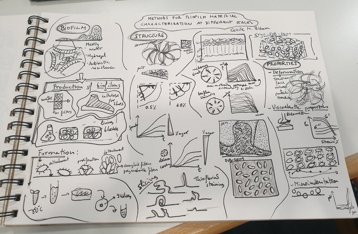 Sara Trujillo tweet media