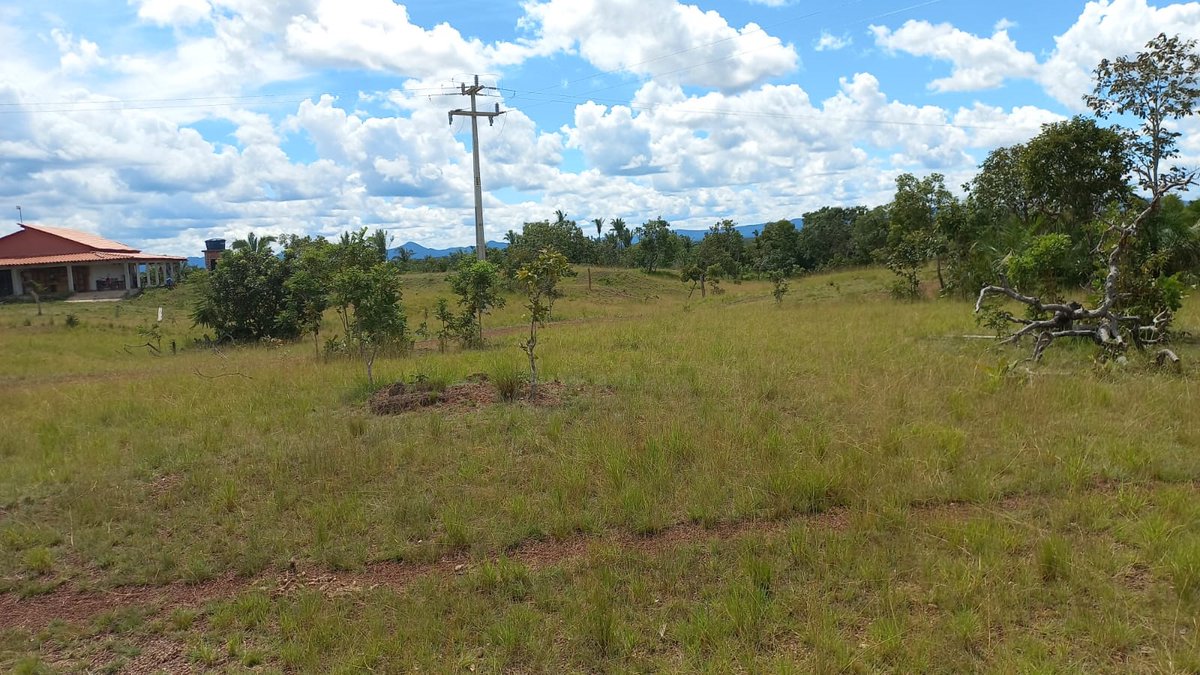 BusinnesLCR's tweet photo. 🏡 Fazenda em Floresta do Araguaia, PA - Excelente para o Agronegócio! 🌾
📐 Área Total: 532 hectares (110 alqueires, 4.84) para atividades rurais.
🌳 Área Aberta: Cerca de 350 hectares já abertos.
💰R$ (Oito milhões de reais), aberto a negociações.
🌾 Excelente oportunidade 🚜 https://t.co/x2PkXUSYjF