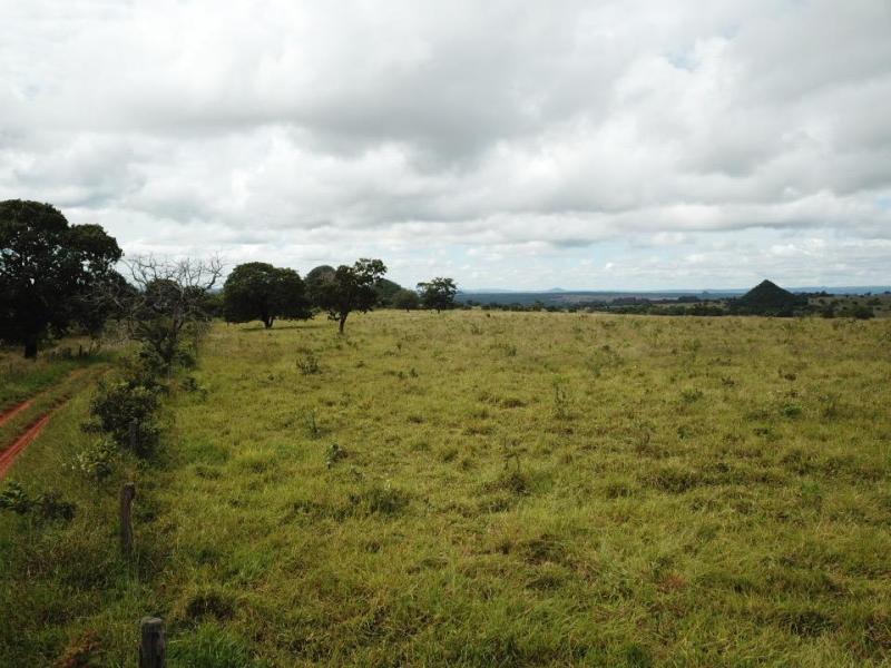 BusinnesLCR's tweet photo. 📐 Área Total: 871 hectares (180 alqueires, 4.84) para atividades rurais.
🌳 Área Aberta: Mais de 725 hectares, com 440 hectares destinados à lavoura.
💰 Preço: R$ 320 sacas de grãos por hectare, com possibilidade de negociação.
Fazenda em Ivolândia,GO. Excelente oportunidade 🚜 https://t.co/xVjzWvh4oO