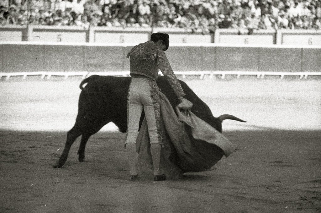 purezatoros's tweet photo. La media es monumental. Manolete por San Fermín en Pamplona. https://t.co/V2bEUtRTAg