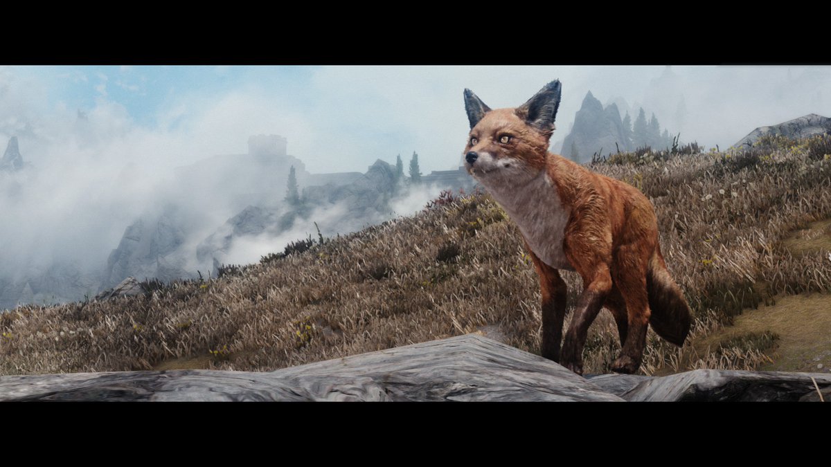 The beautiful Fluffy Foxes by <a href="/ZeroKing45/">ZeroKing</a> is on the run for Mod of the Month on LE side of Nexus Mods! Help dropping a vote and endorse! This is very important and much appreciated! ✨ (SE-AE version also available)
nexusmods.com/skyrim/mods/11…
#Skyrim #SkyrimMods
