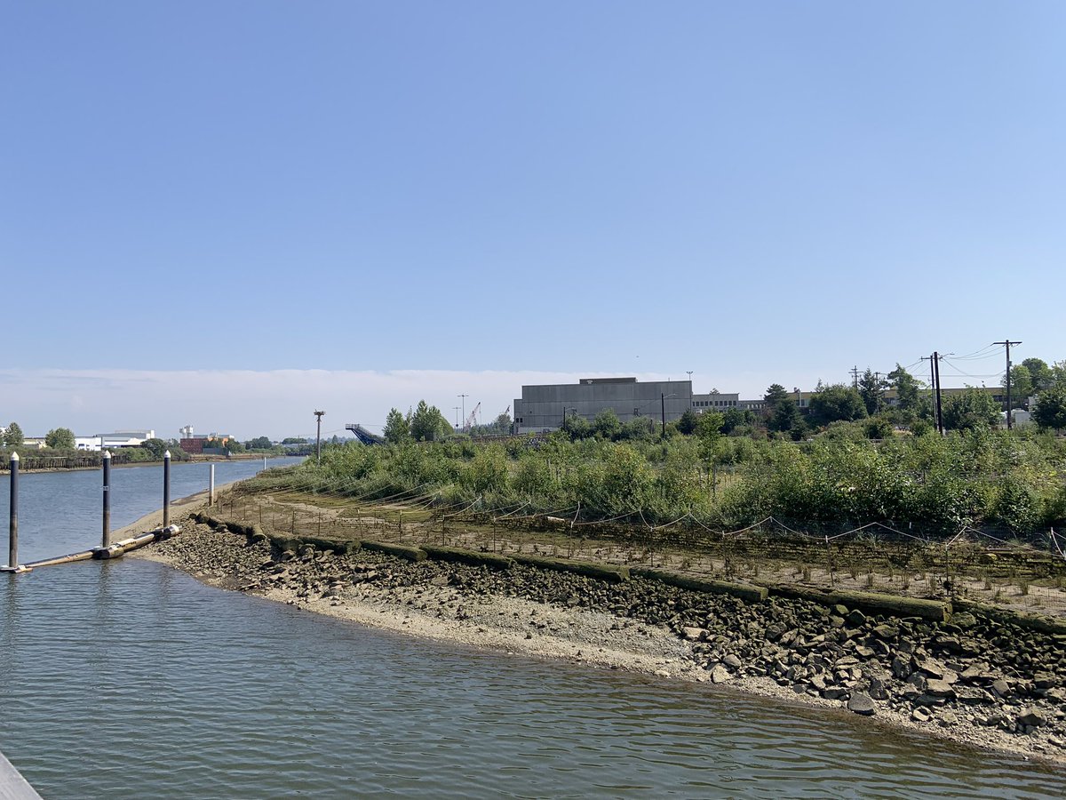 Yesterday I had the opportunity to meet with the talented environmental staff at the Port of Seattle and take a tour of the Duwamish River Community Hub and the People’s Park. This park is a massive shoreline and habitat clean up of an old industrial site. Thanks for having me!☀️