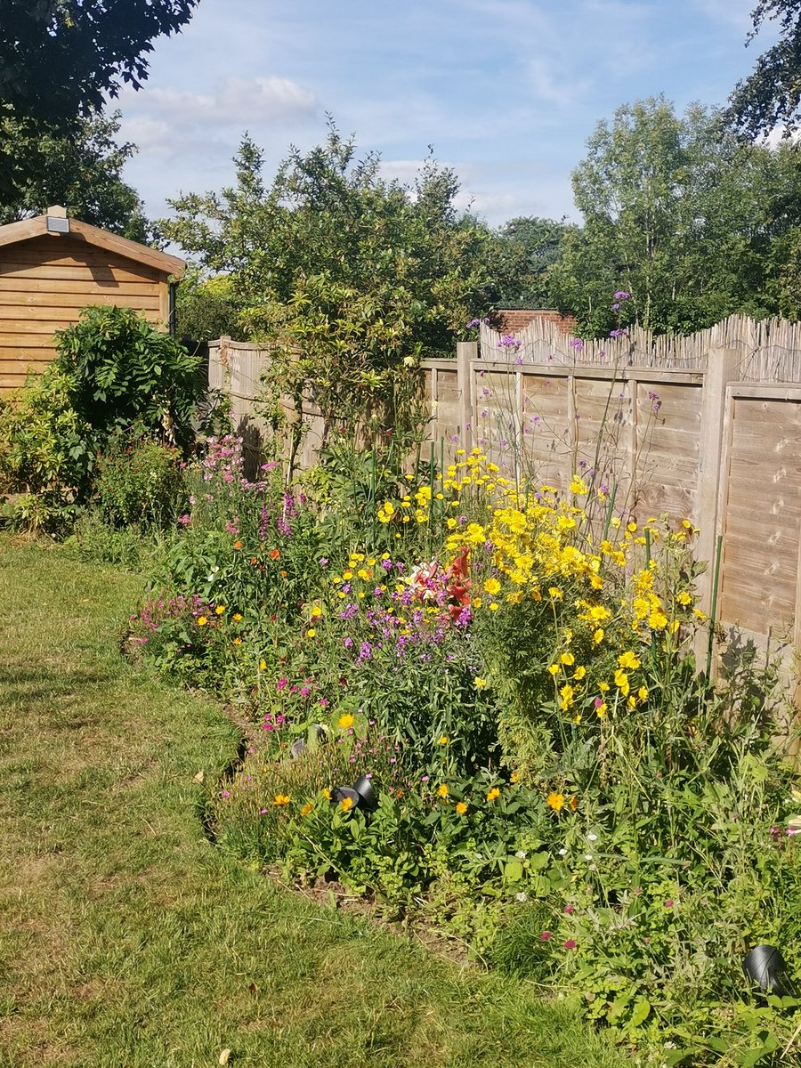 Finally all the hard work and planning has come to life.. #happybees