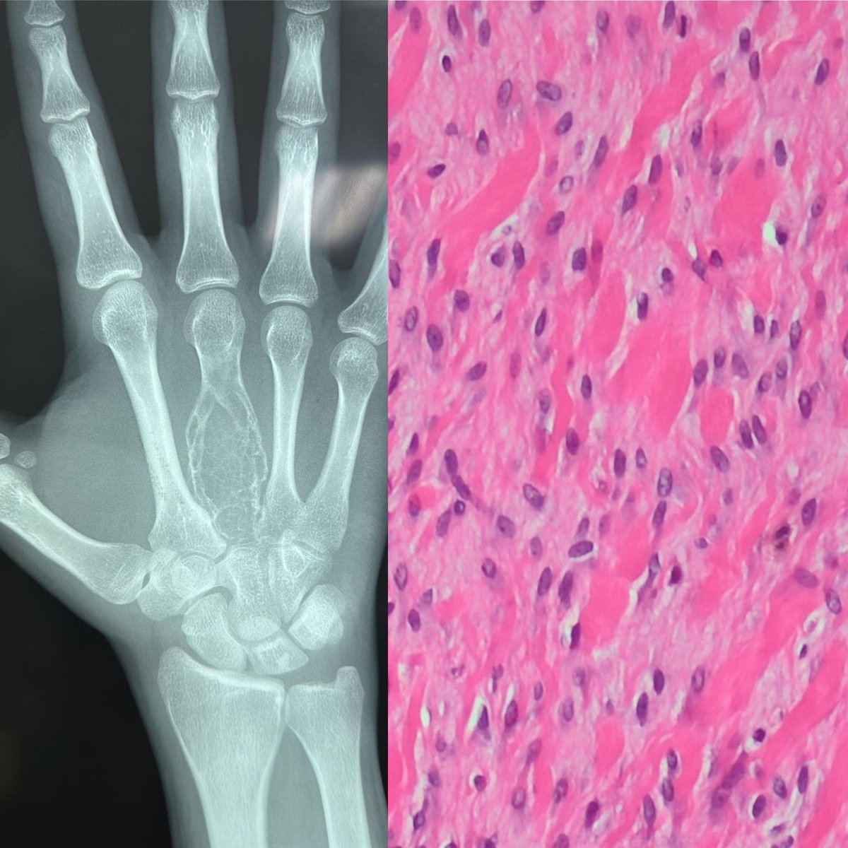 Estef Valdés tweet media