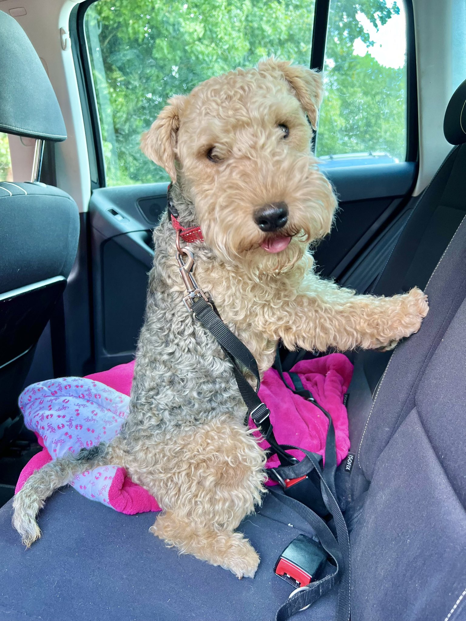 Bertie Lakeland on Twitter: "Today I went on a double date with Miss