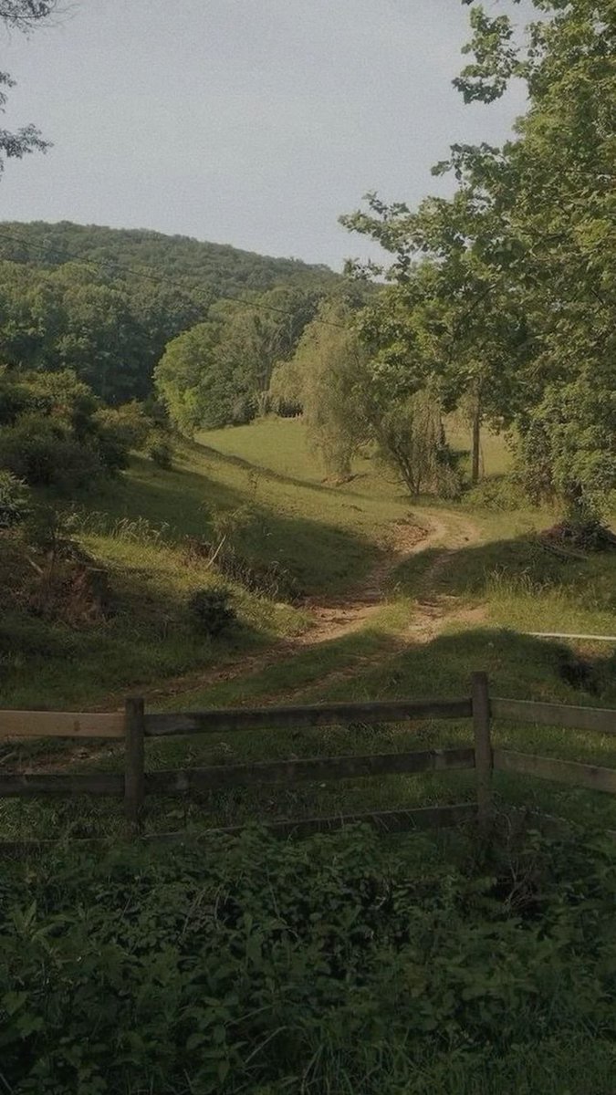 artindetails's tweet photo. peaceful place. https://t.co/hXw2s8P8cp