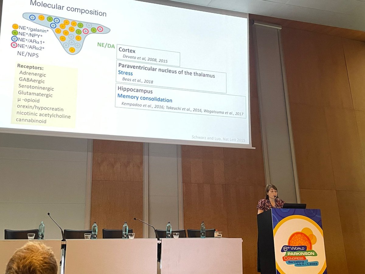 Today, <a href="/CrisMiguelezP/">Cristina Miguelez</a> has spoken about our beloved Locus Coeruleus 🧠 to the <a href="/WorldPDCongress/">WPC 2026</a> audience. Little nucleus, great importance! #wpc2023