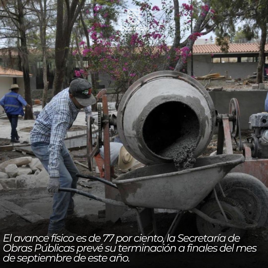 PED Zacatecas tweet media