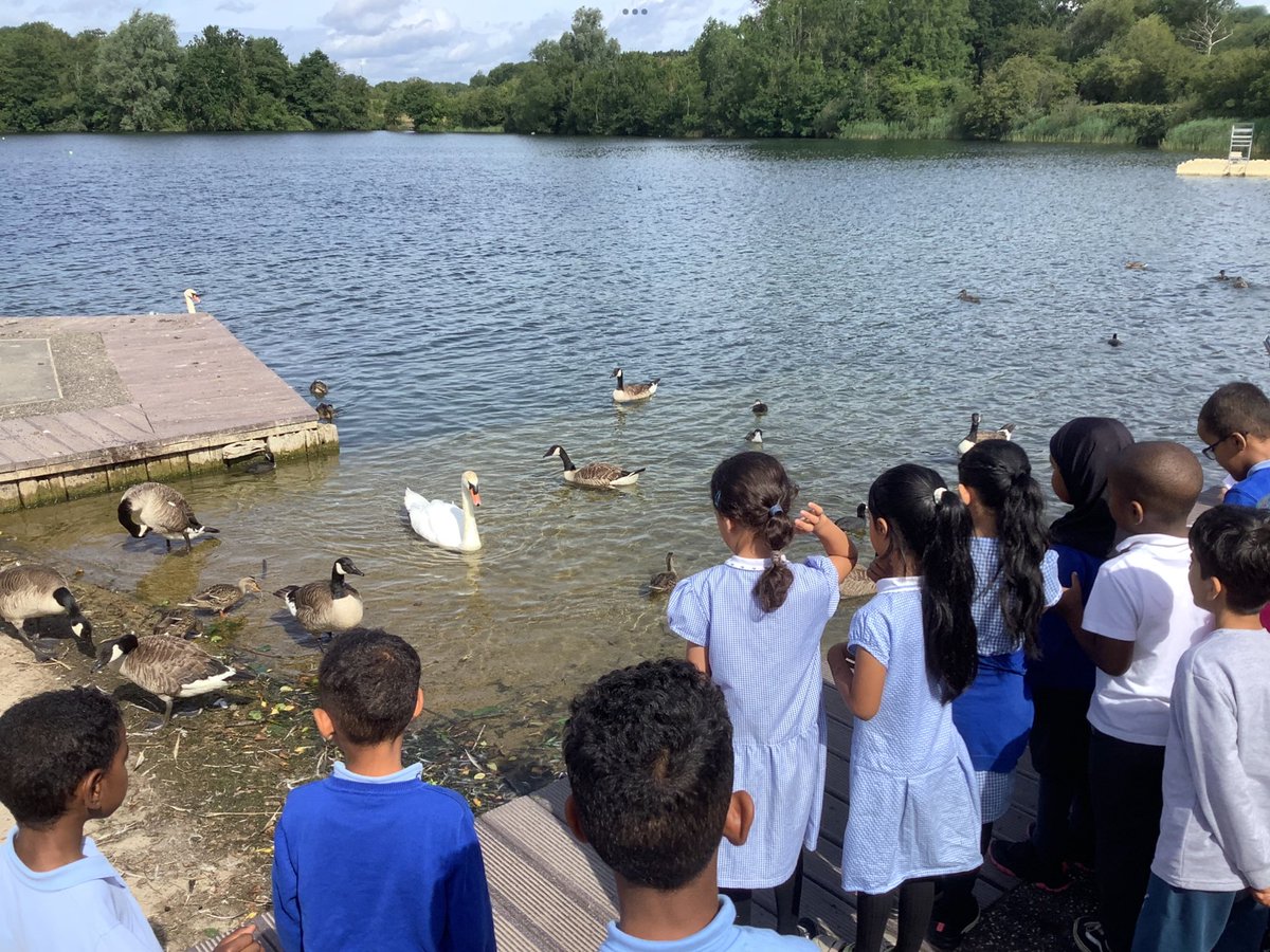 What a lovely trip Year 2 and 3 had at Cosmeston Lakes today. Den building and orienteering were on the agenda, as pupils enjoyed exploring and taking part in these fun, problem solving activities. Bendigedig <a href="/SMTVCardiff/">SMTV Cardiff 🧡</a> <a href="/MrsWilliams_15/">Clare Atkins</a> <a href="/MrsParsonsSMTV/">Mrs Parsons 🧡</a>