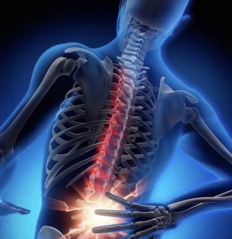 gio__palace's tweet image. How my back feels after carrying around all this loyalty