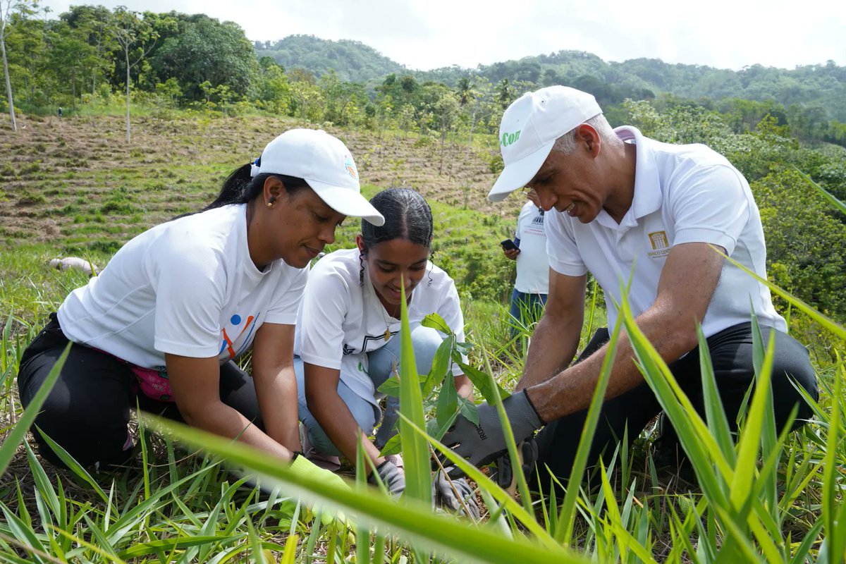 BancoCentralRD's tweet photo. #NotaBCRD
El #VoluntariadoBancentraliano realiza una nueva jornada de reforestación en la cuenca alta del río Ozama. https://t.co/6snlKu2PNm https://t.co/0K5w0OLWkJ