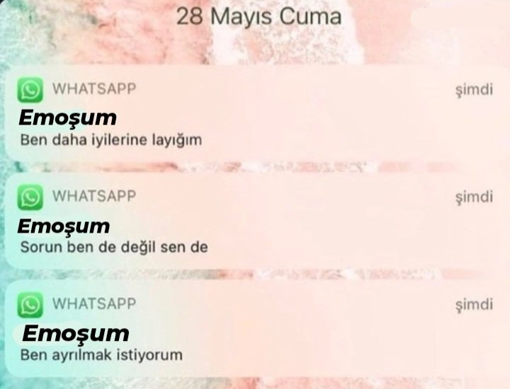 Emine yine bildiğiniz gibi