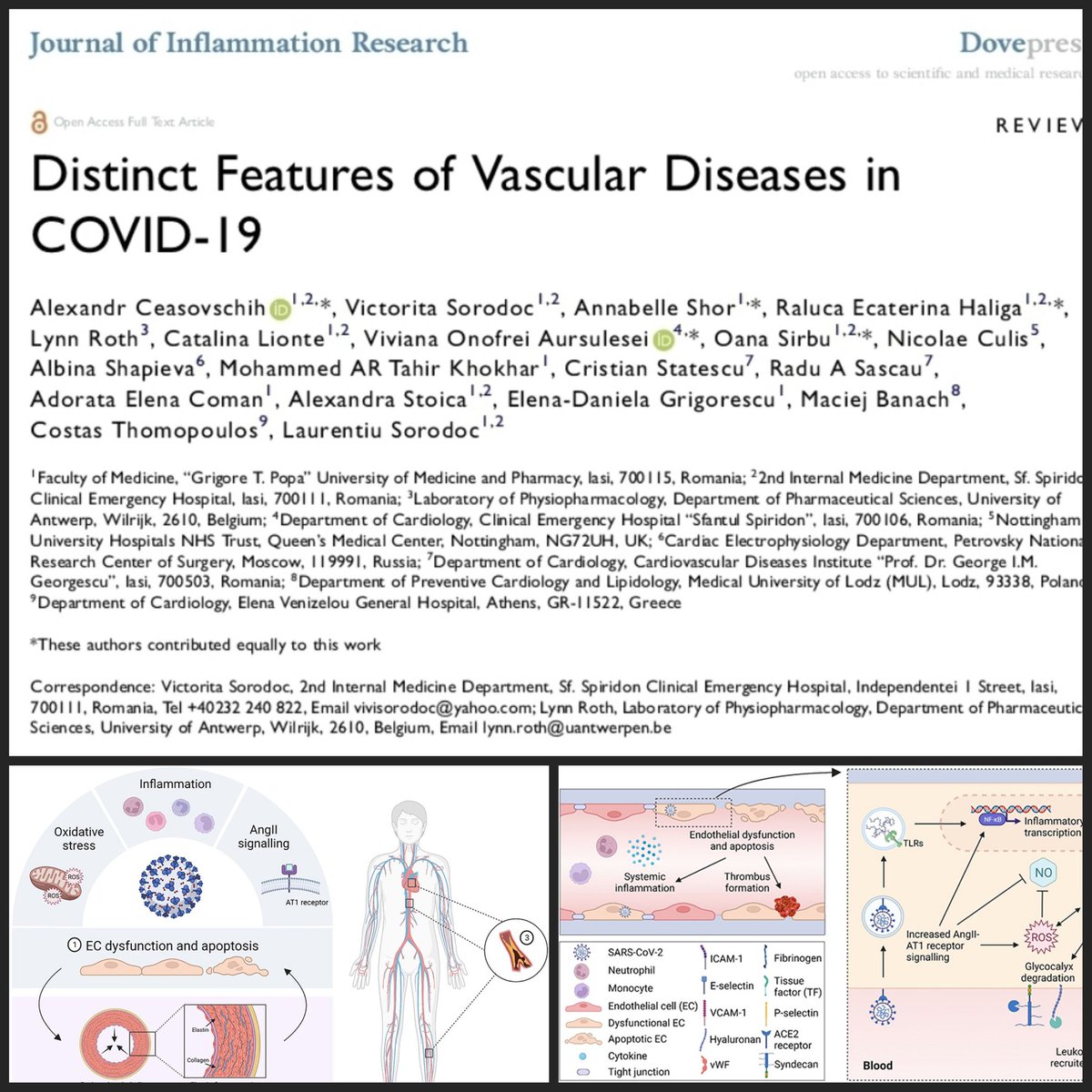 Great international 🇷🇴🇺🇸🇧🇪🇬🇧🇷🇺🇵🇱🇬🇷 collaboration!!! Thanks to Co-Authors for their valuable contributions!!! 🤝👏🎓
dovepress.com/distinct-featu…