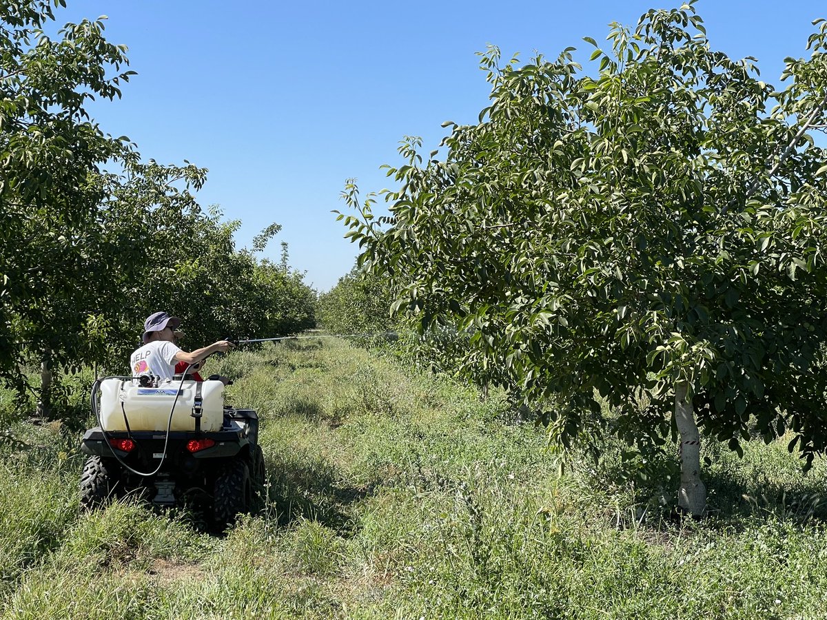 Jhalendra Rijal tweet media