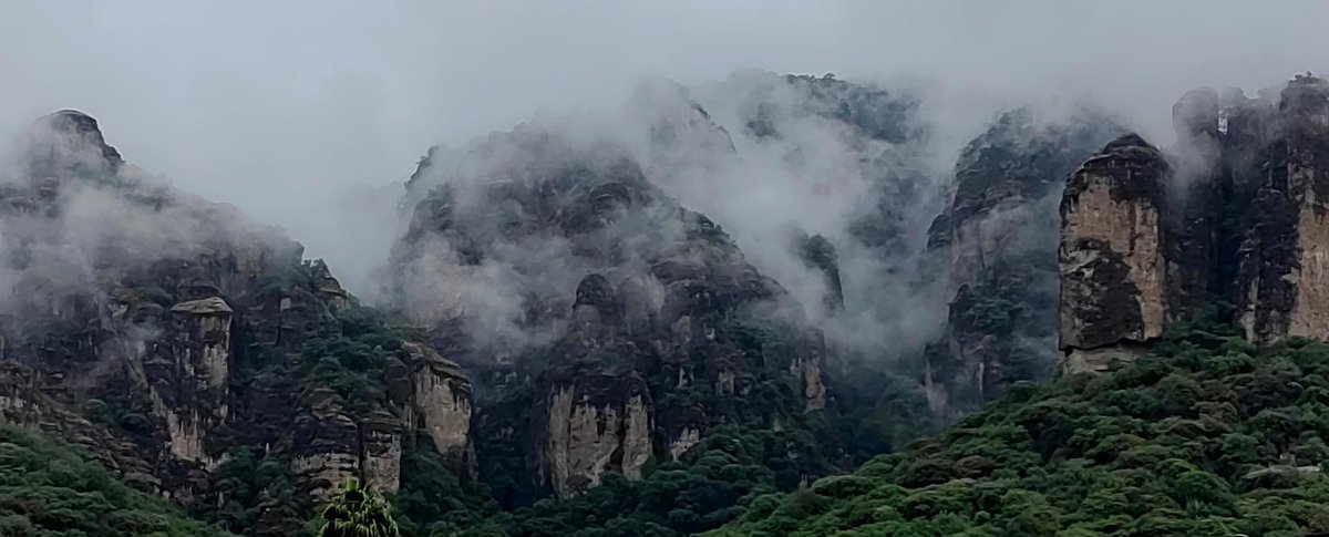 #HoyMeAlegraQue empieza el clima más bonito ☺️ del mundo 🌍 mundial ☕️ 🥰🌧️#TepozMiAmor ♥️ <a href="/YODEBUENAS/">Miguel Barrientos Mx</a> <a href="/leo_alvam/">Leonardo Álvarez 〽️</a> <a href="/Yadira26Urios/">Yadira Urios 26</a> <a href="/YoAmoLa99/">AmoLa99 💙🎶📻 #YoAmoLa99</a> <a href="/La99fm/">La 99 FM</a> <a href="/Chigolin_/">Chigolin</a> 

Créditos : 📸 <a href="/chilukaas/">Roberto Conde Ortiz</a>