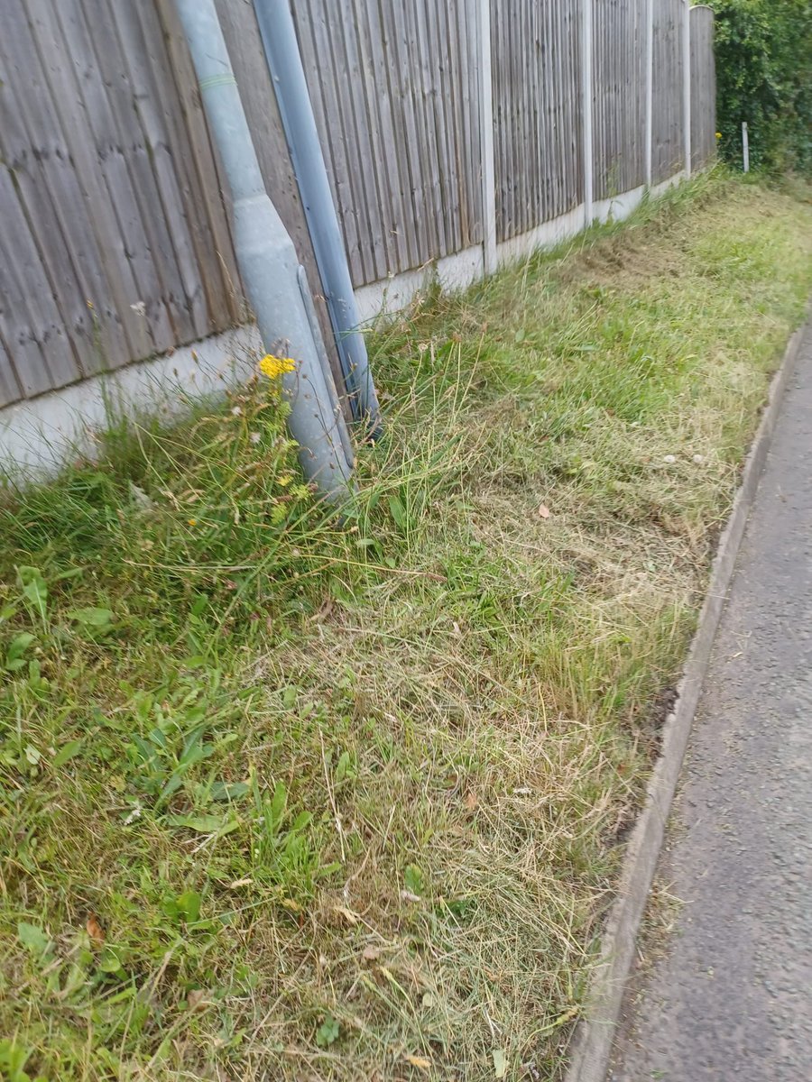 Hi @CheshireEast, years ago you designated our road verge an official Wildflower Verge. It became so rich in wildflowers inc. orchids & lots of other wildlife that the verge is now proposed to become a Local Wildlife Site. It was amazing until you mowed it this morning. Why?😢🌱