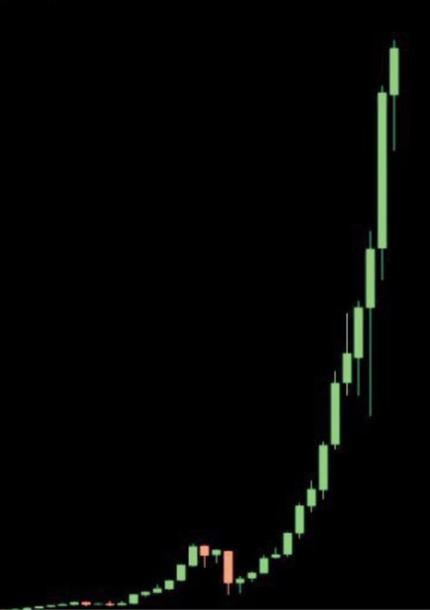๐ฝ Crypto Royals ๐ฝโข tweet media