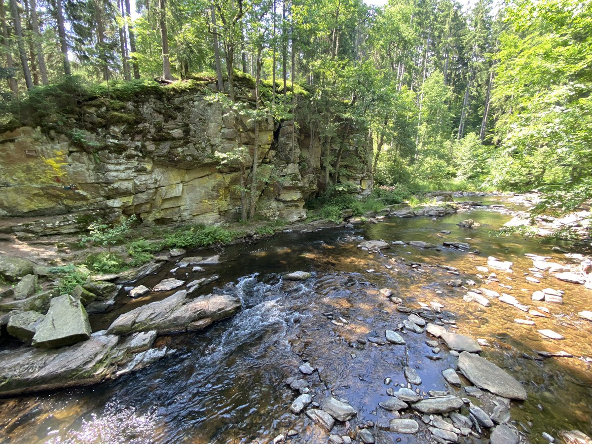 tony_ver2's tweet photo. Výlet okolo Pastvin 06.07.2023
#turistika #CzechRepublic #vylety #czechia #les #forest #pastviny #Summer #hikingadventures #pardubicky #kraj #bunkry #fortress #Summervibes #river #orlice #orlica #bordercross 3/3 https://t.co/sR1JGGoXNj