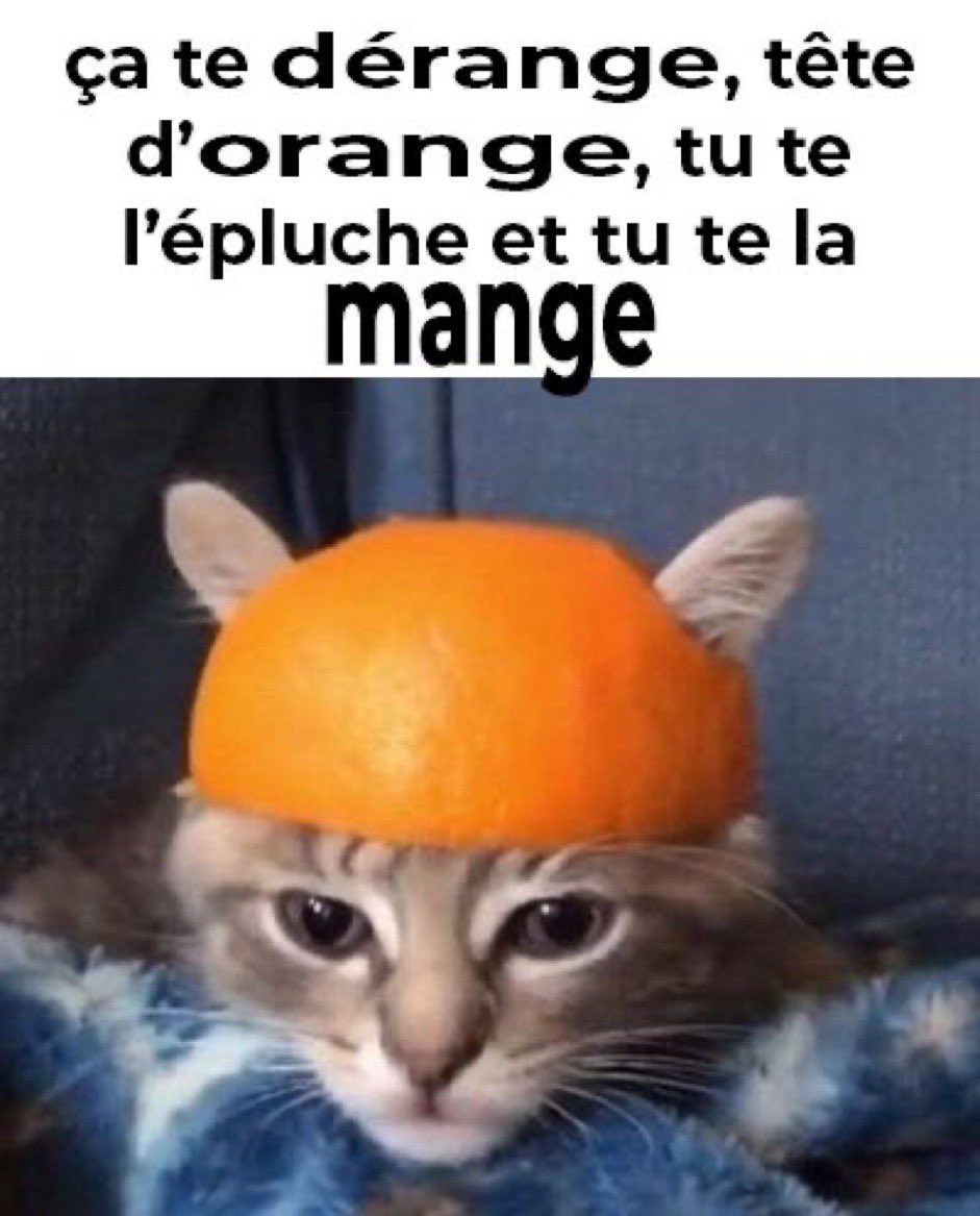 _urbanunicorn's tweet image. « ta pas peur de regretter tes tatouages plus tard ? »