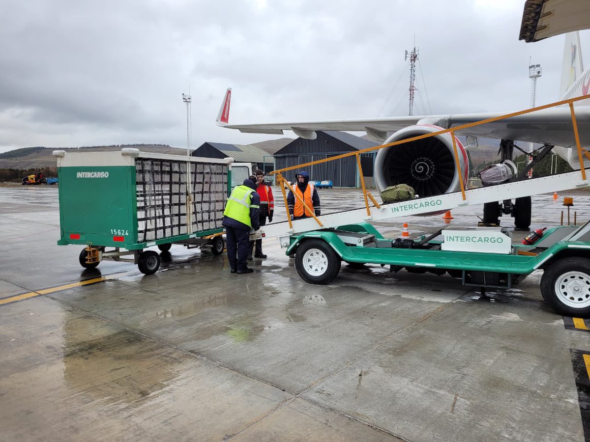 IntercargoARG tweet media