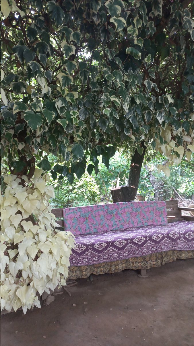 htcblnl3564's tweet photo. Ege kasabasının verdiği huzur diye bir şey var.💞 https://t.co/4wDqjaZ1IR