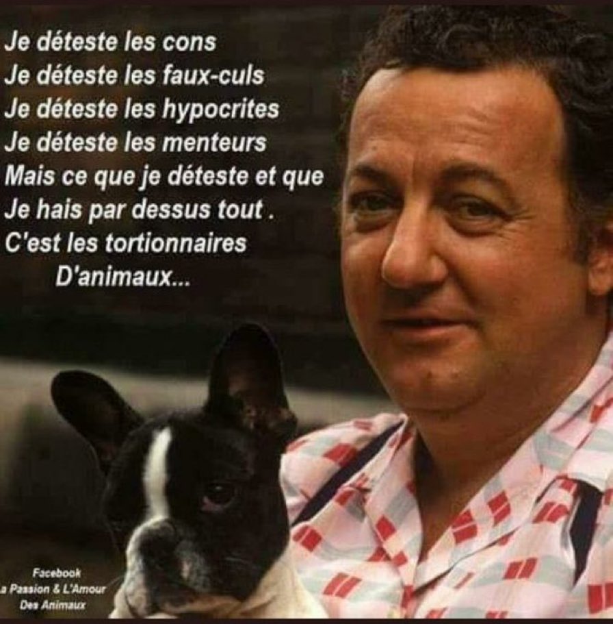 Bastian 💫 tweet media