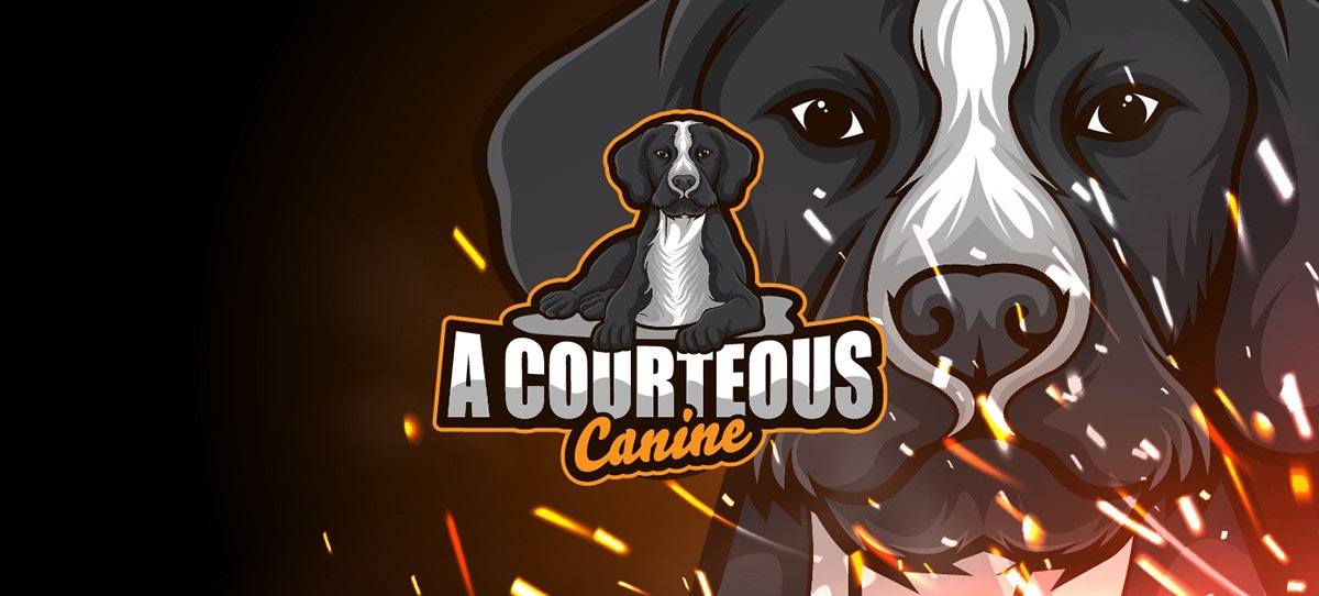 Annabelle__arts's tweet image. For any kind of Gaming Design Graphically, Feel free to Contact for best Streaming &amp;amp; YT Packages!

#twitch
#twitchstreamer
#Logo
#banner
#twitchoverlay 
#emotes
#TeamGodvek 
#SupportSmallStreamers
#twitchaffiliate 
#streamer
#vtuber
#envtuber

Reference images from web ❤️