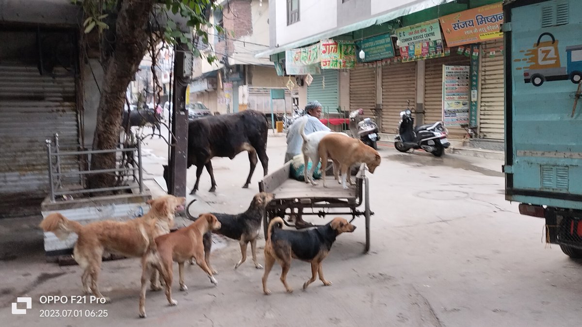 Nishant Kumar tweet media