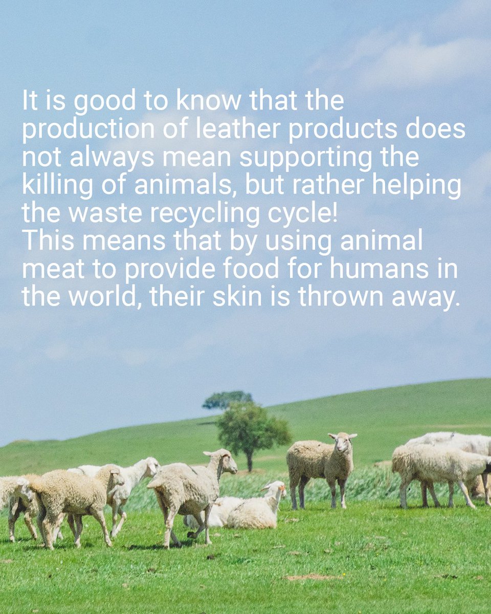 ZENunison's tweet photo. Zen Unison supports the preservation of our environment by recycling thteg defective and low-value skins of animals that have been slaughtered for the meat industry, and by turning these wastes into high-quality leather, it tries to recycle this highly polluting waste
#zenunison https://t.co/6cOFa1Ikvj