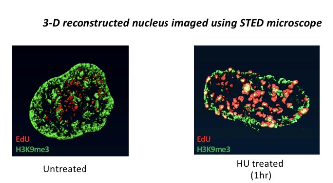 Nitika Taneja tweet media