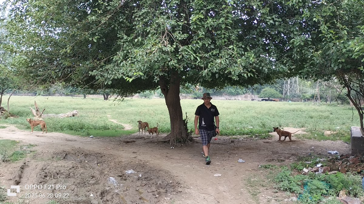 🧐Explore the diversity of 🕺human-dog 🐕 friendships in a single city #Delhi. <a href="/PawsWeb/">Paws</a> is exploring new Questions on social cognition, behavioral contagions, and a few Q.s about the diversity of selection pressure on human-dog mutualism, which produce a gradient of coexistence.