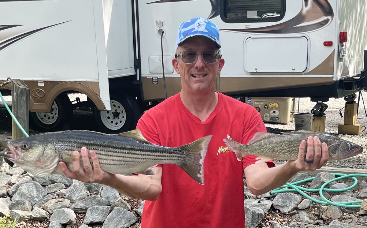 EricJr_n_VA's tweet photo. Absolutely love our annual camping trip @KerrLakeLife. Family, friends, and a little fishing. #lovetofish https://t.co/B84ofsuB4C