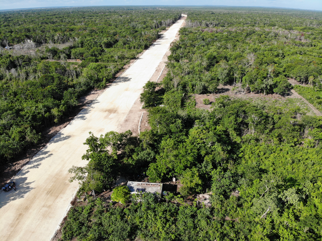 Avispa_Midia's tweet photo. #ReportajeEspecial 📸 A orillas del alboroto turístico en el pueblo maya de #Bacalar, #QuintanaRoo, está el despojo que va dejando las obras del Tren Maya, proyecto estrella de la 4T
👉 https://t.co/C8yEvZghX0
#TrenMaya #ElSurResiste #PueblosOriginarios #AMLO #PueblosIndígenas https://t.co/OzZaxPqYpI