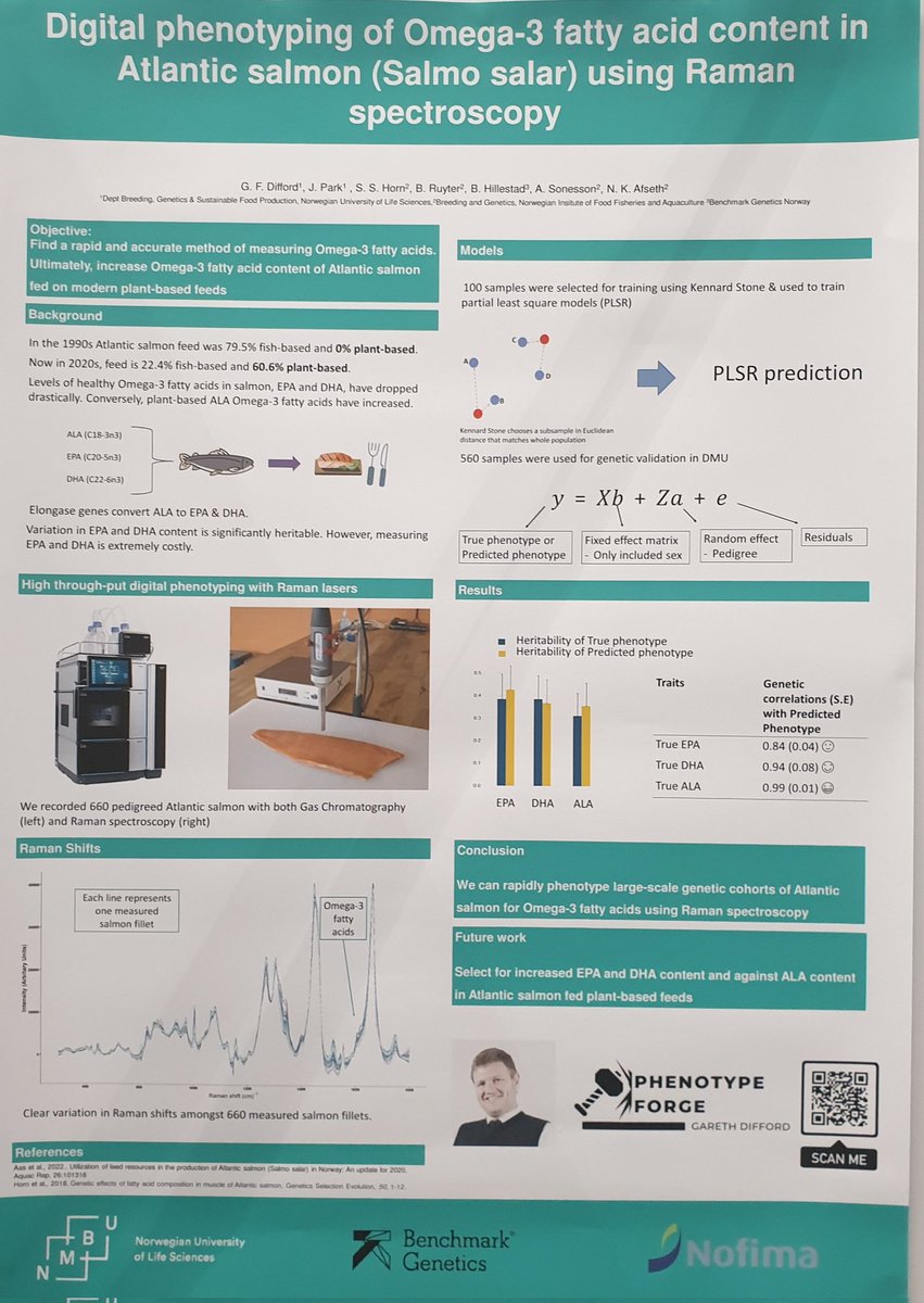 Gareth Difford 🇳🇴🇿🇦🇬🇧 tweet media