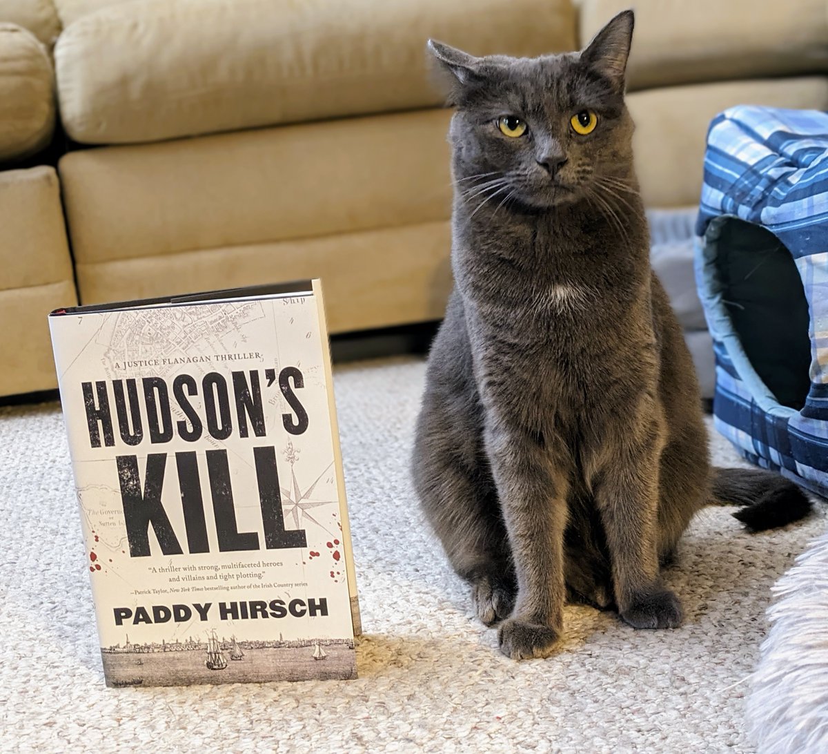UncleT_Bag's tweet photo. A couple #bookfinds that I couldn't resist picking up. #TheConstantRabbit by @jasperfforde and #HudsonsKill by @paddyhirsch. A madly inventive, anthropomorphized, rabbit-filled UK and a cutthroat turn of the 19th century New York City thriller. Sounds good to me! #CatsotTwitter https://t.co/BuPMdssdXc