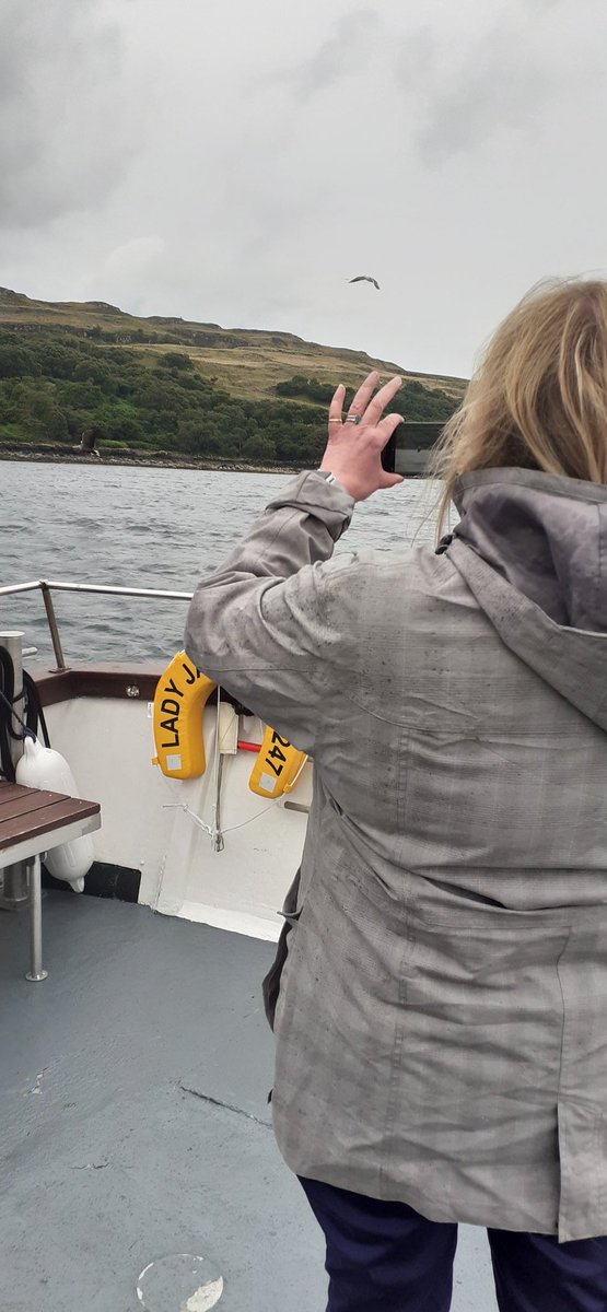 Really grateful to @jenni_minto & @Wolfie2402 for their time today. And to Martin & Alex @mullcharters for another superb trip. Despite 'challenging' weather conditions 🌧☔ the sea eagles never fail to impress @RSPBScotland @stranyannie @markruskell @aedan_smith @lloydaustin3 🦅