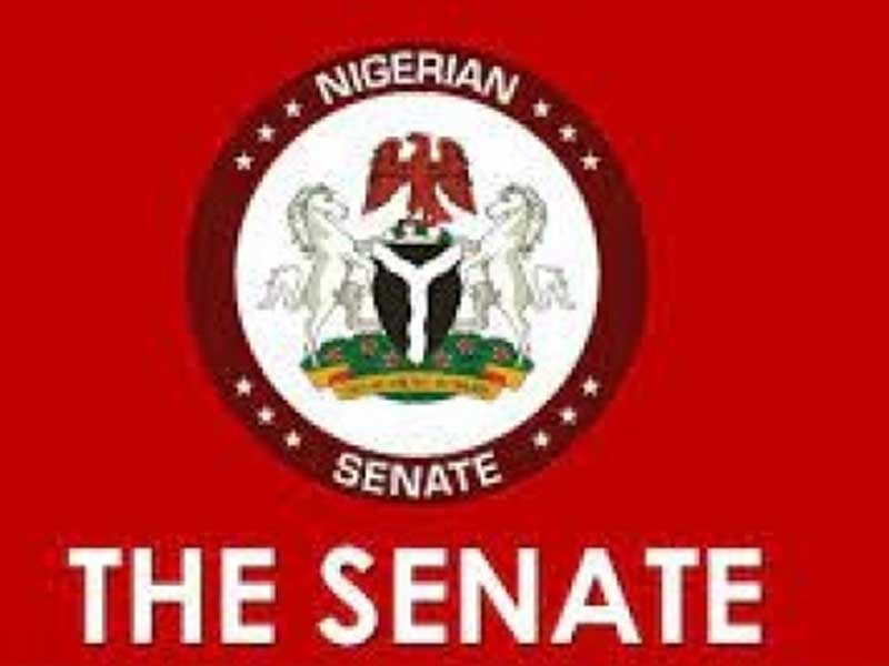 THISDAYLIVE's tweet photo. Sunday Aborisade in Abuja The Senate on Thursday commenced the investigation of all the federal airports put up for concession by former President Muhammadu Buhari’s government. The red chamber condemned https://t.co/FdeCZaeYdP #thisdaylive https://t.co/5CpSsvoWPI