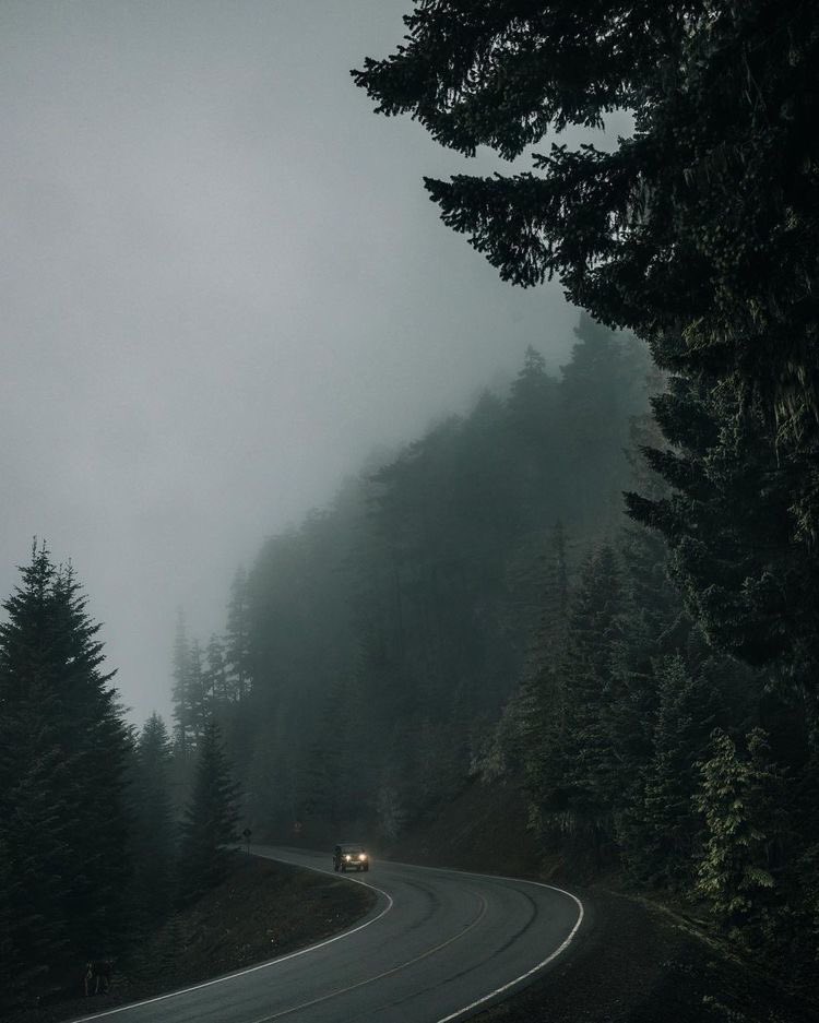 we’re all a lil lost.